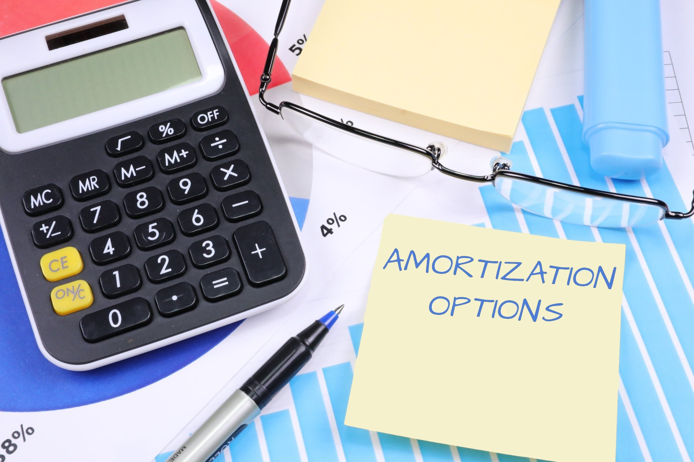 Amortization Options